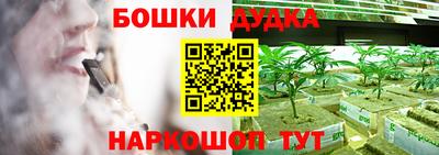 индика Ликино-Дулёво